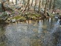 DSCF0012
