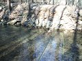 DSCF0020