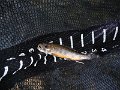 DSCF0030