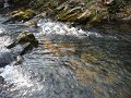 DSCF0031
