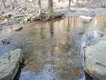 DSCN2906