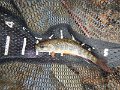 DSCN2920