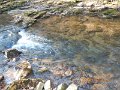 DSCN2929