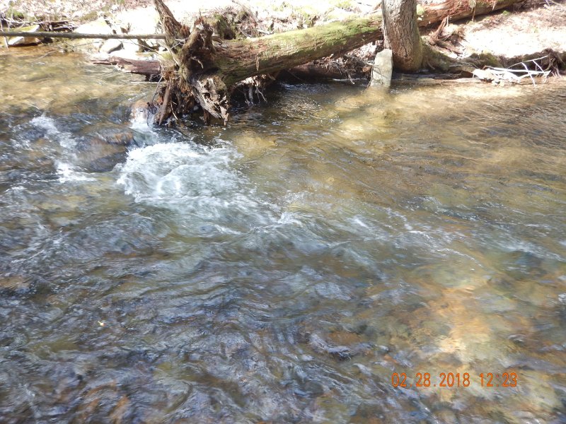 DSCN2971.jpg - Water was higher than normal but still very fishable at 44.8 degrees.