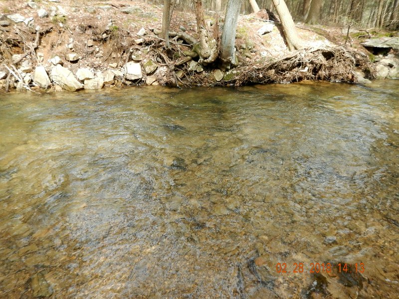 DSCN2979.jpg
