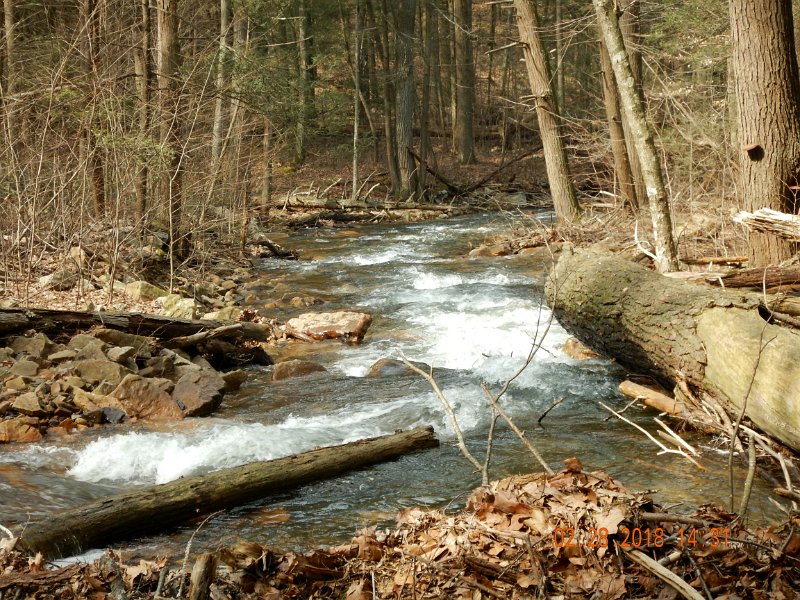 DSCN2980.jpg - Took this pic, just because.  Just because it was beautiful.  