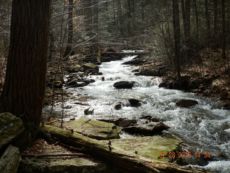 DSCN2982.jpg - Here's another shot of the stream.  Doesn't get any better that this.