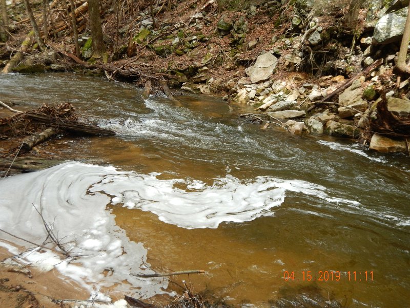 $LaurelRun1001$.jpg - Eds fish came from this hole. 