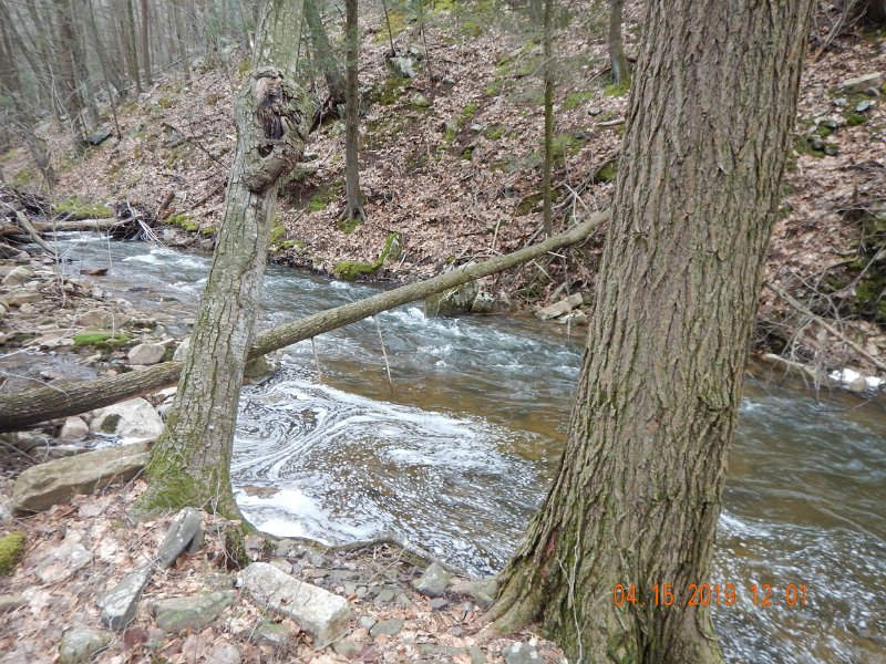 $LaurelRun1008$.jpg - Good bit of white water in the stream. 