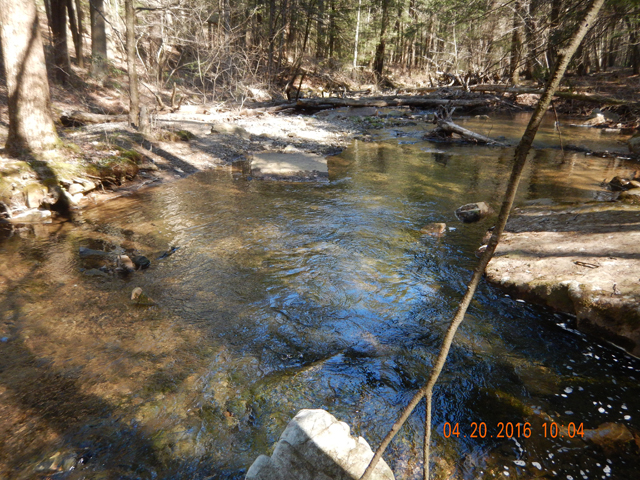 DSCN1102.jpg -                                The first hole we fished on Laurel Run.
