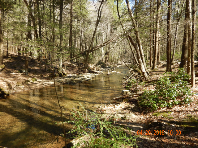 DSCN1103.jpg -                                This is one of the most picturesque streams we fish.