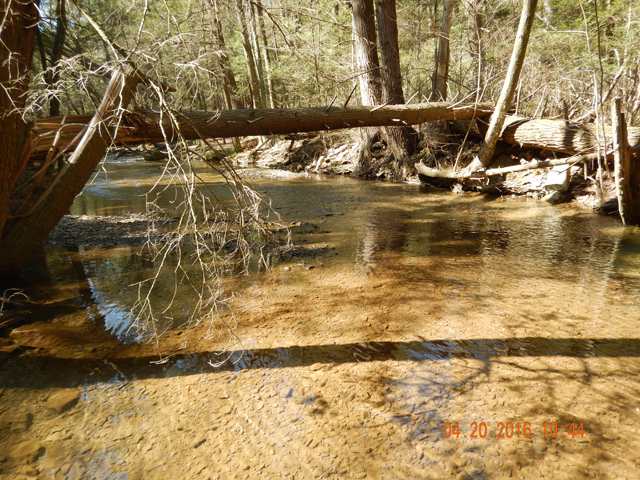 DSCN1105.jpg -                                