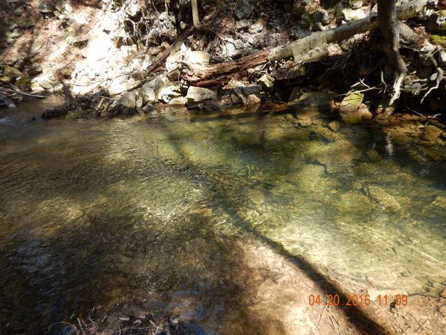 DSCN1110.jpg -                                The pools gave up some fish but most we caught were in the riffles.