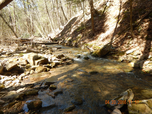 DSCN1118.jpg -                                Laurel held more water than I expected.  With no rain for the last 7 days, the stream still had acceptable flows.