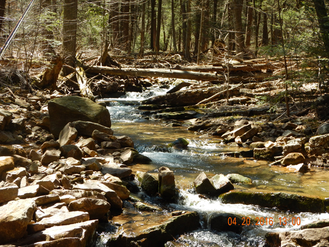 DSCN1124.jpg -                                This is one of the more scenic areas of the stream.