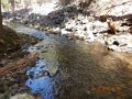 DSCN1130