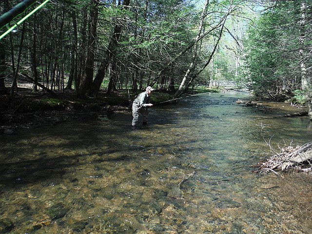 DSCF9596.jpg - I was missing one fish after another in this run.  It's no wonder, I'm concentrating much too hard.