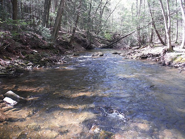 DSCF9599.jpg - I worked this run a bit and got the fish that follows.