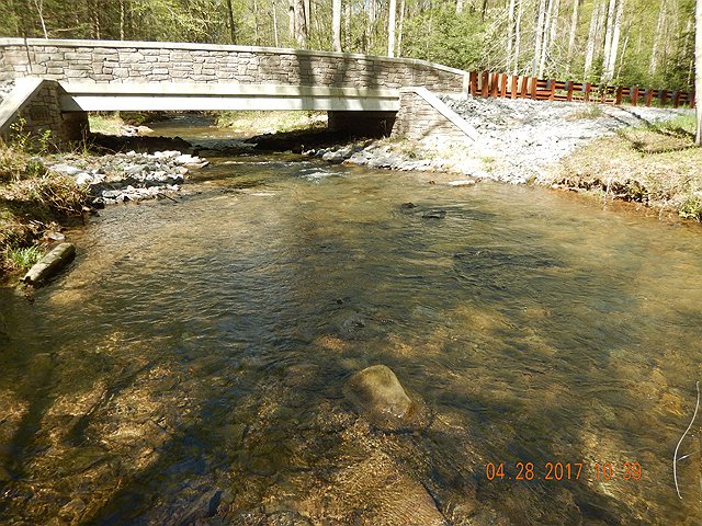 DSCN1955.jpg -                                We started at the bridge.  The run below the bridge usually holds a trout or two.  Today was no exception.