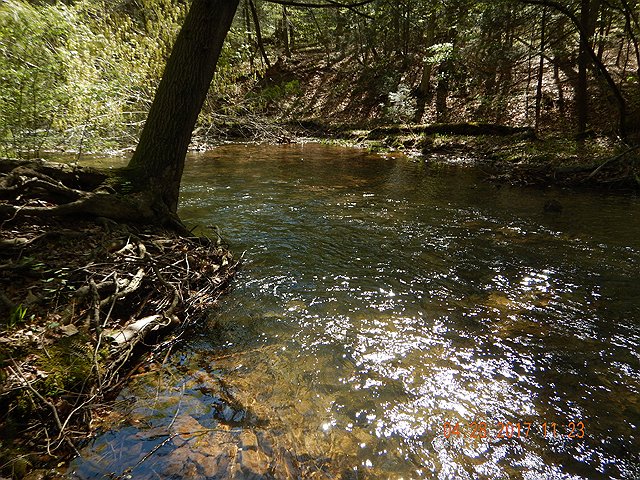 DSCN1958.jpg -                                The fish that follows came out from under this undercut, and a dandy brown trout it was.