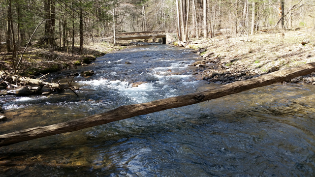 20150429_111812.jpg