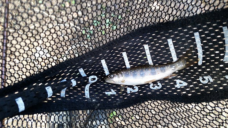 20150429_134718.jpg