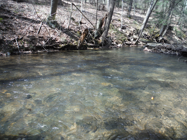DSCF0135.jpg