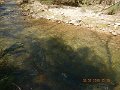 DSCN3128