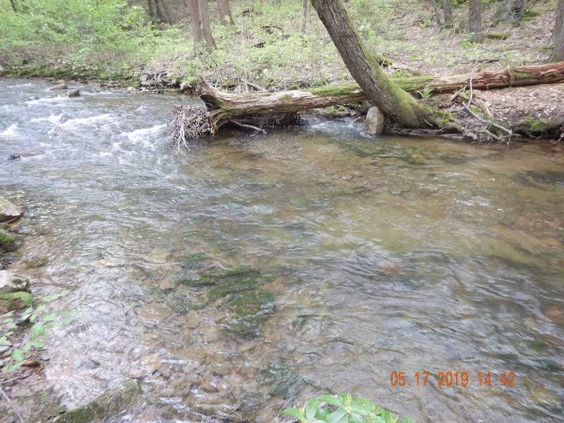 $LaurelRunb019$.jpg - This stream has one holding area after another.
