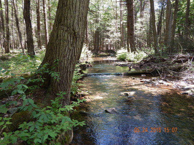DSCN0364.jpg -                                