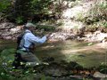 DSCN0342