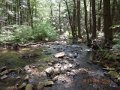 DSCN0352