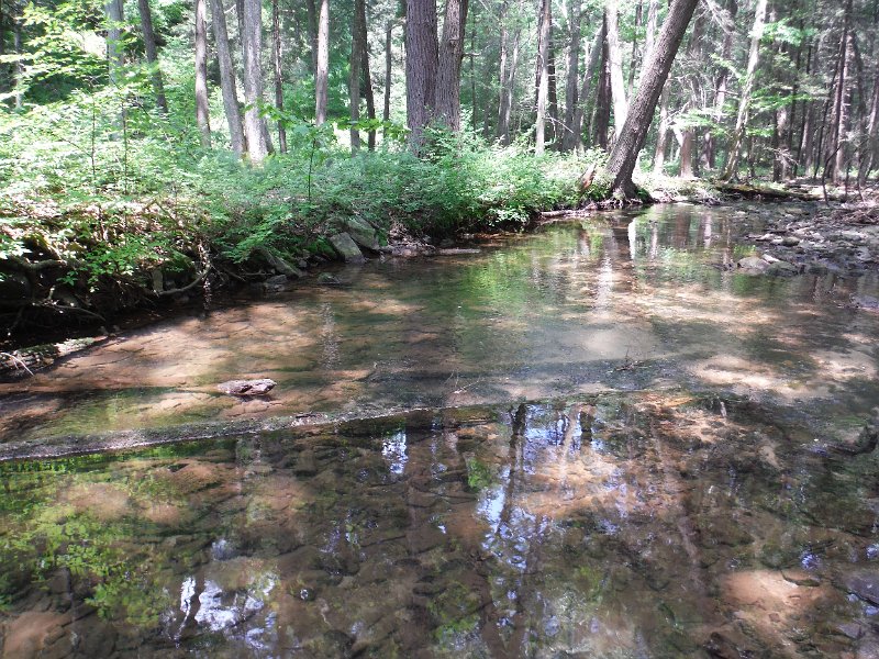 DSCF0167.JPG