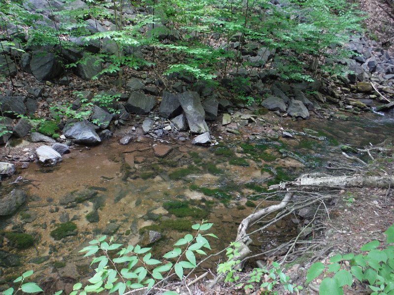 DSCF0171.JPG