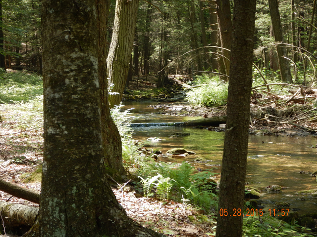 DSCN0372.jpg -                                