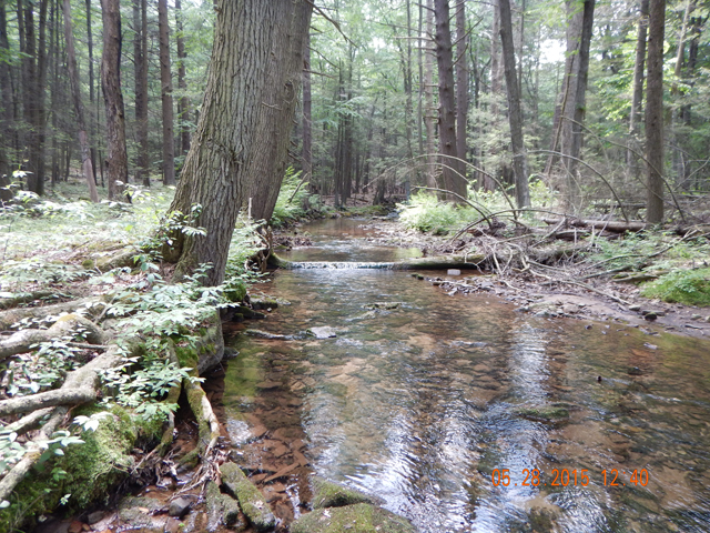 DSCN0374.jpg -                                
