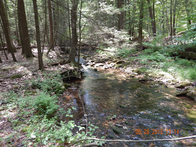 DSCN0379.jpg -                                