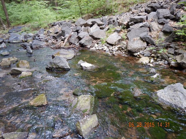 DSCN0386.jpg -                                