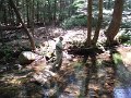 DSCF0160