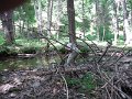 DSCF0163