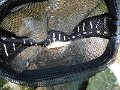 DSCF0165