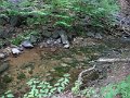 DSCF0171