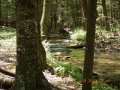 DSCN0372