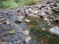 DSCN0386