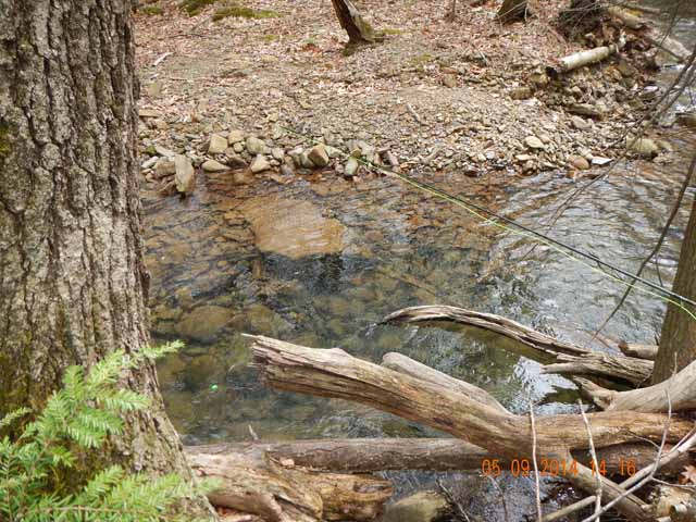DSCN0641.jpg -                                