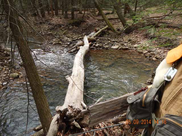 DSCN0642.jpg -                                