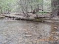 DSCN0646