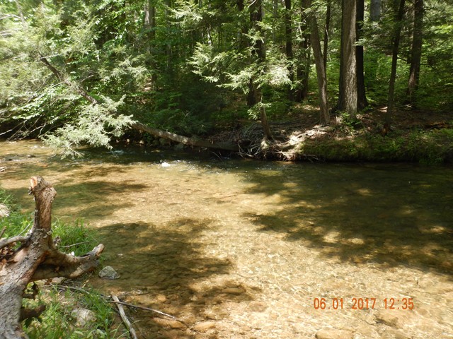 DSCN2112.jpg -                                In this run I counted the misses.  I failed to catch 8 fish.  It was a hoot watching them hit the fly but it wasn't till number 9 before I was able to bring one to the net.