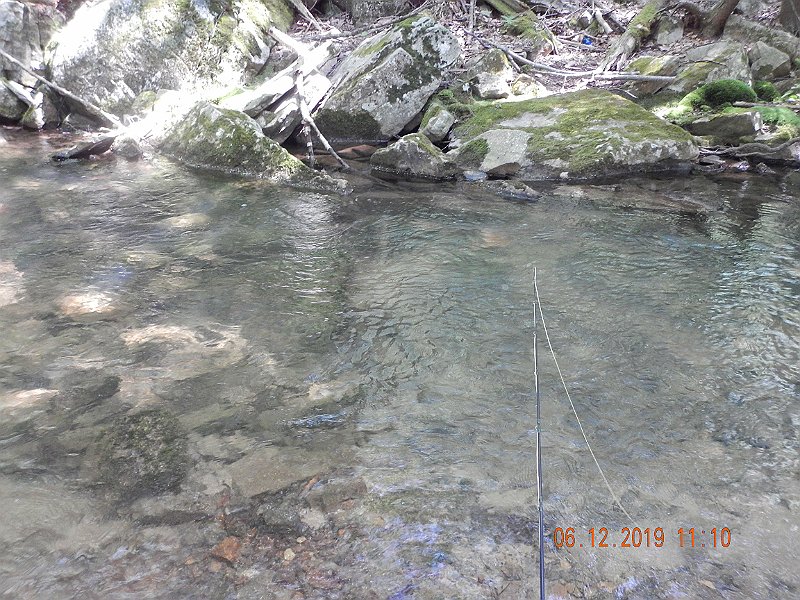 $LaurelRun3010$.jpg - It was living in this nice deep pool.