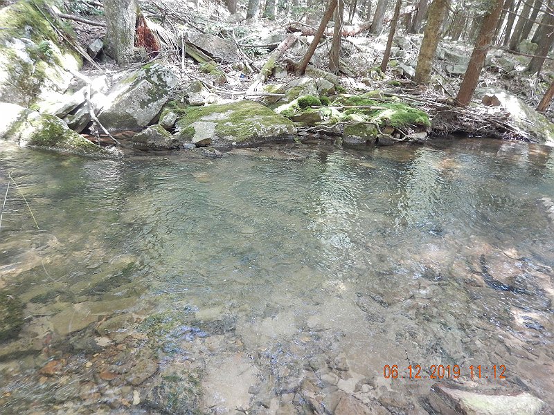 $LaurelRun3013$.jpg - Some fish were in shallow runs and some in deeper pools. But, we didn't get fish from the deepest pools. 